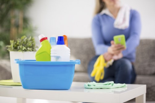 Risk assessment and cleaning product safety in carpet cleaning