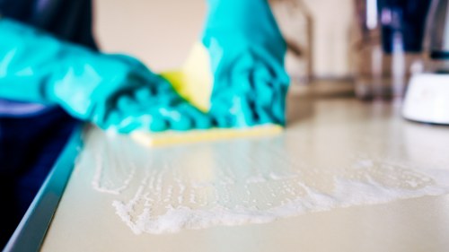 Professional carpet stain removal process in Winchmorehill