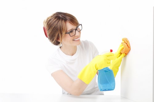Professional cleaning equipment used for pet stain odour removal